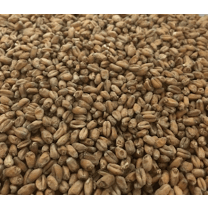 Avangard Wheat Base Grain Malt